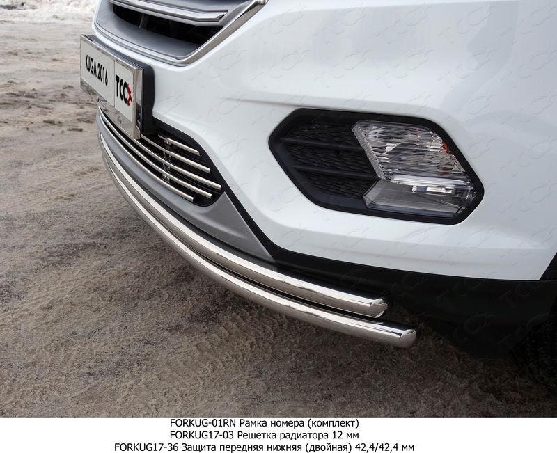 Защита переднего бампера на Ford Kuga фото 3