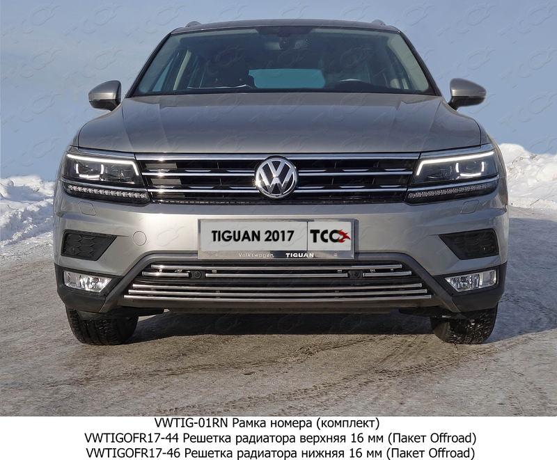 Накладки и молдинги на Volkswagen Tiguan фото 151