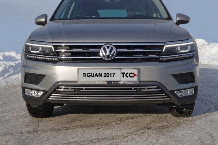 Накладки и молдинги на Volkswagen Tiguan фото 1