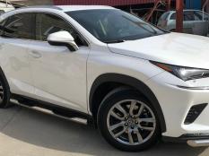 Пороги и боковые трубы на Lexus NX 200 фото 5