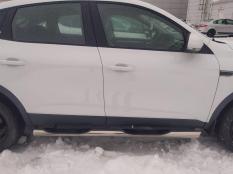 Пороги и боковые трубы на Renault Arkana фото 5