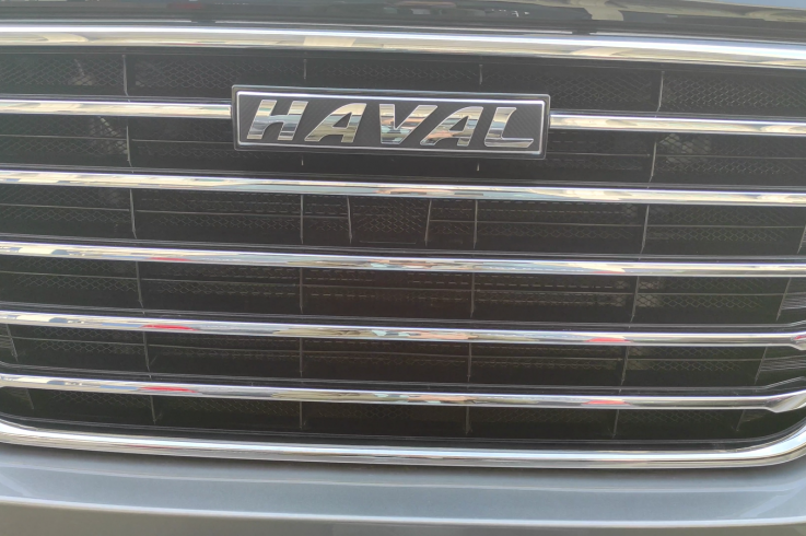 Защитные сетки радиатора на Haval H9 фото 1