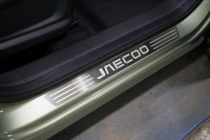 Накладки и молдинги на Jaecoo J7 фото 1