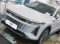 Защитные сетки радиатора на Chery EXEED RX фото 12