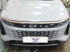 Защитные сетки радиатора на Chery EXEED RX фото 13