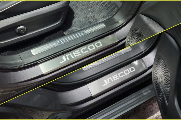 Накладки и молдинги на Jaecoo J8 фото 1