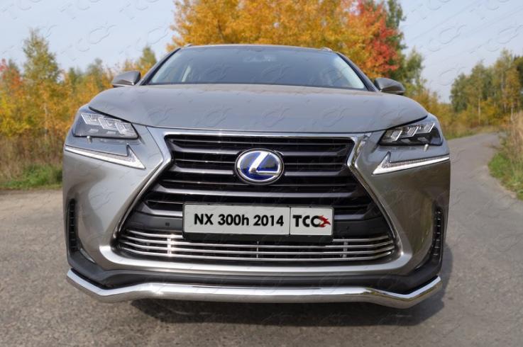 Накладки и молдинги на Lexus NX 200 фото 1