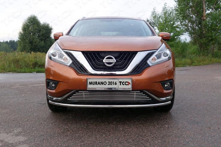 Накладки и молдинги на Nissan Murano фото 1