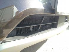 Защитные сетки радиатора на Hyundai Santa Fe фото 4