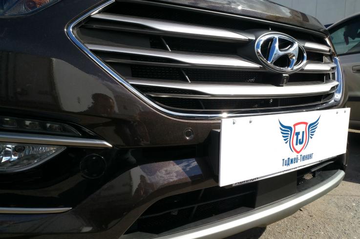 Защитные сетки радиатора на Hyundai Santa Fe фото 1